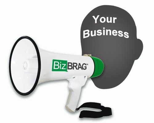 make money online with bizbrag